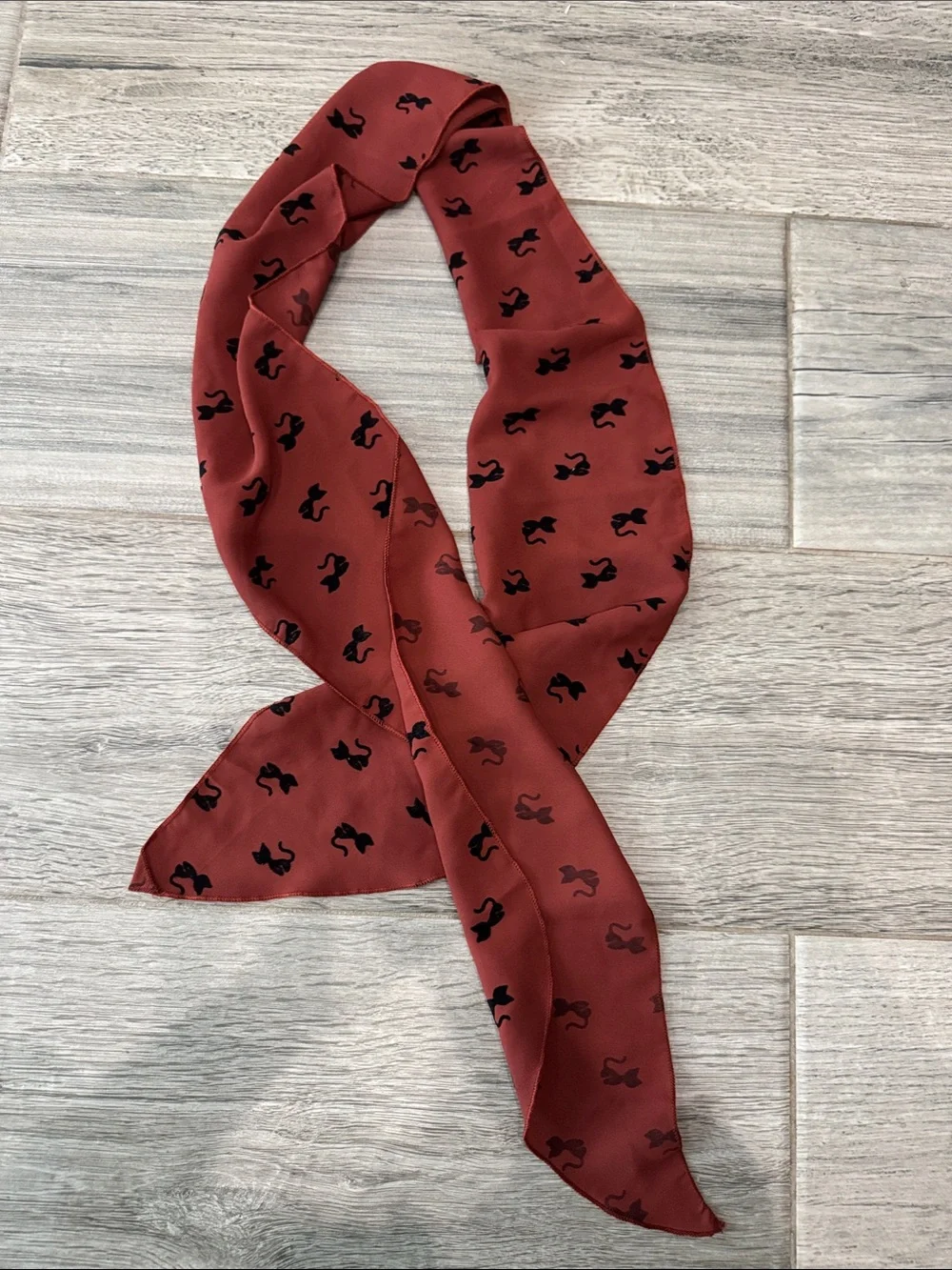 Silk-Feel Rust Scarf with Velvet Black Cat Print